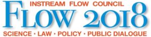 Flow 2018 Logo